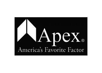 Apex Logo