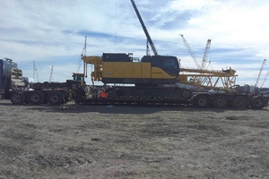 crane_lr.jpg