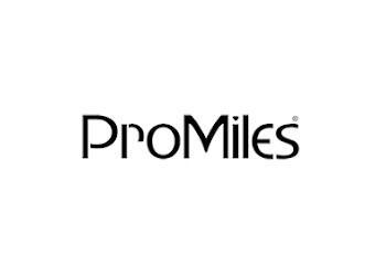 promiles logo