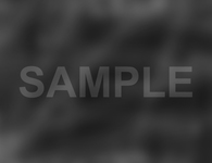 Customer Case Studies