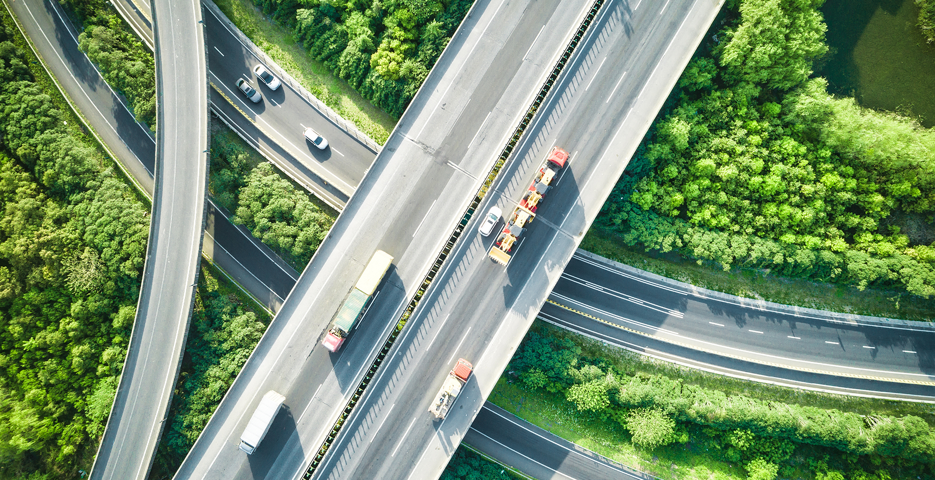 half-image-half-form-image